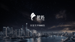 象屿集资子公司